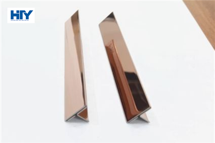NẸP INOX T10