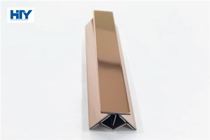 NẸP INOX T12
