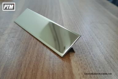 NẸP INOX T15