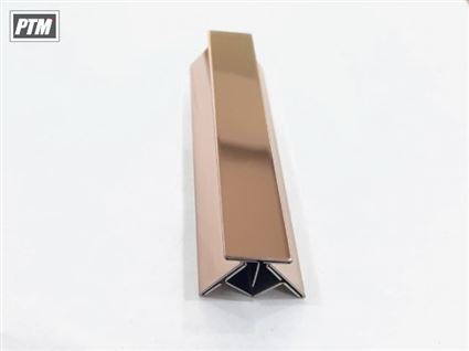 NẸP INOX T12
